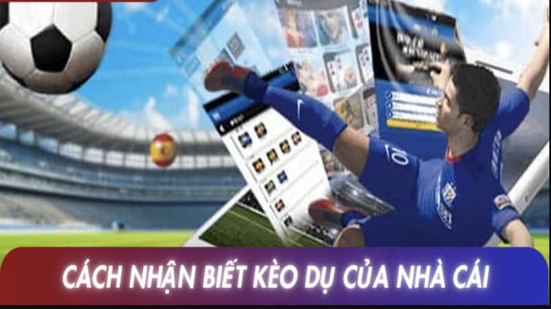 Hiểu đúng về khái niệm "Kèo dụ" trong cá cược