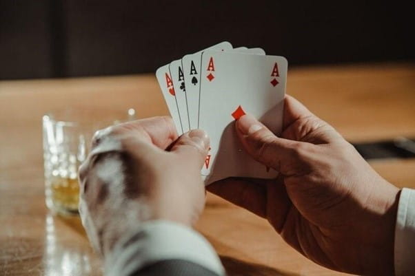 Giải đáp thắc mắc: Tứ quý chặt được mấy con heo?